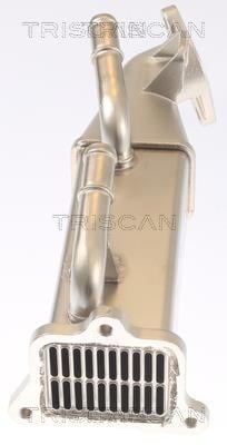 Radiateur, réaspiration des gaz d'échappement Triscan A/S 8813 16073