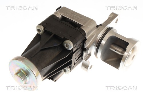 Vanne EGR Triscan A/S 8813 16074