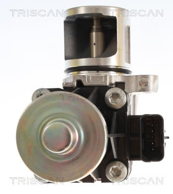 Vanne EGR Triscan A/S 8813 16074
