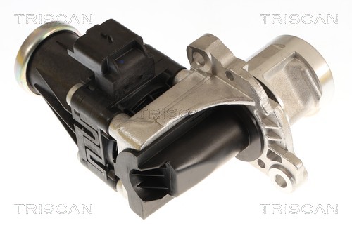 Vanne EGR Triscan A/S 8813 16074