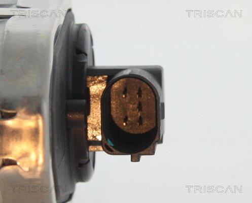 Vanne EGR Triscan A/S 8813 16100