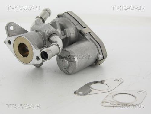 Vanne EGR Triscan A/S 8813 16100