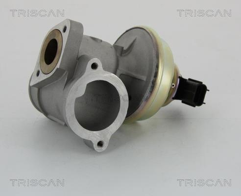 Vanne EGR Triscan A/S 8813 16102