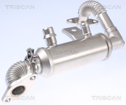 Radiador válvula egr Triscan A/S ref. 8813 16103