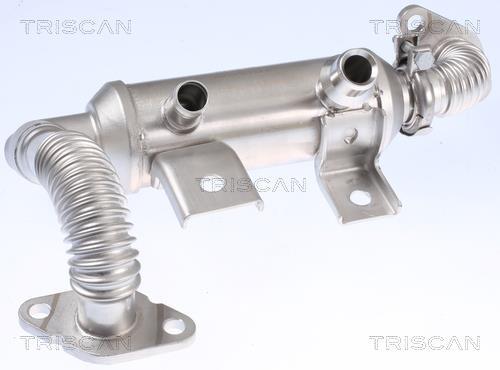 Radiador válvula egr Triscan A/S ref. 8813 16103