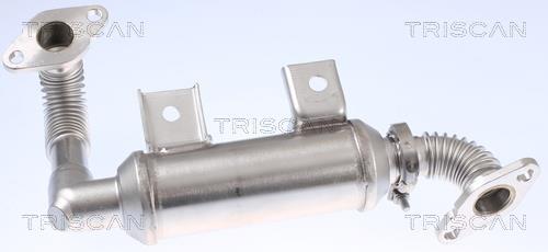 Radiador válvula egr Triscan A/S ref. 8813 16103