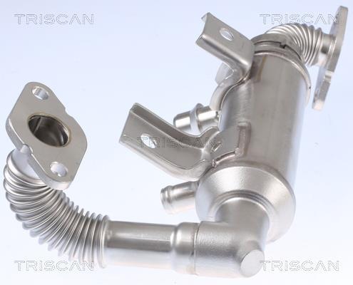 Radiador válvula egr Triscan A/S ref. 8813 16103
