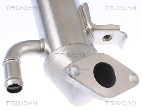 Radiador válvula egr Triscan A/S ref. 8813 16104