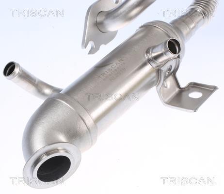 Radiador válvula egr Triscan A/S ref. 8813 16105