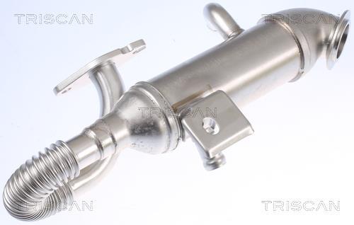 Radiador válvula egr Triscan A/S ref. 8813 16105