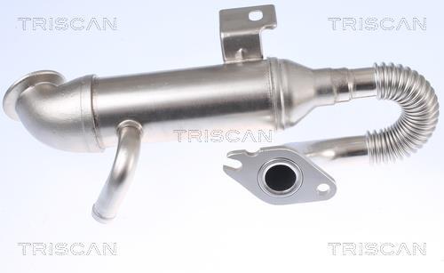 Radiador válvula egr Triscan A/S ref. 8813 16105
