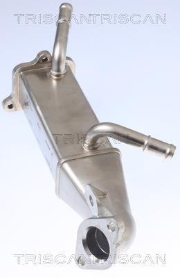 Radiateur, réaspiration des gaz d'échappement Triscan A/S 8813 16106
