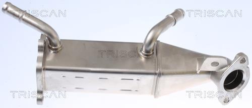 Radiateur, réaspiration des gaz d'échappement Triscan A/S 8813 16106