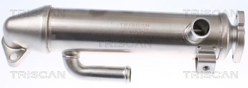 Radiateur, réaspiration des gaz d'échappement Triscan A/S 8813 16107