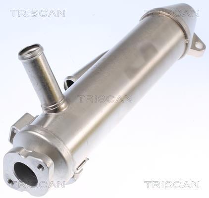 Radiateur, réaspiration des gaz d'échappement Triscan A/S 8813 16107