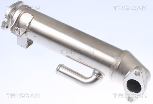 Radiateur, réaspiration des gaz d'échappement Triscan A/S 8813 16107