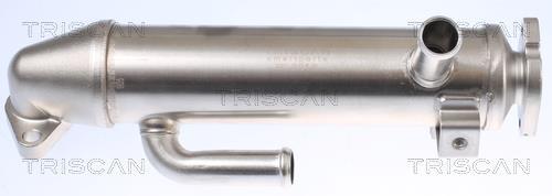 Radiateur, réaspiration des gaz d'échappement Triscan A/S 8813 16107