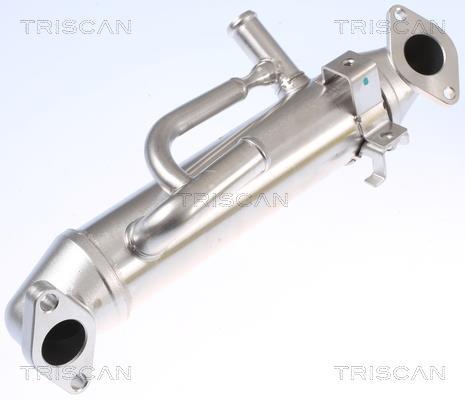 Radiateur, réaspiration des gaz d'échappement Triscan A/S 8813 16108
