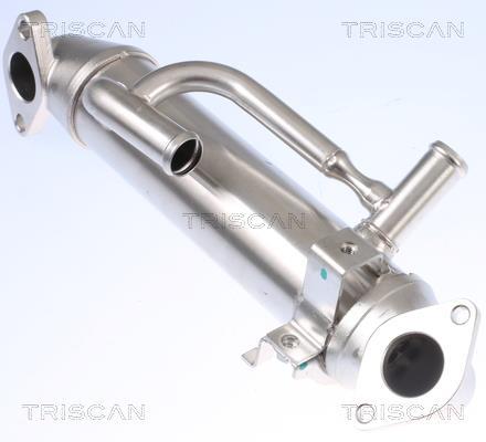 Radiateur, réaspiration des gaz d'échappement Triscan A/S 8813 16108