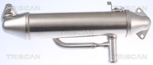 Radiateur, réaspiration des gaz d'échappement Triscan A/S 8813 16108