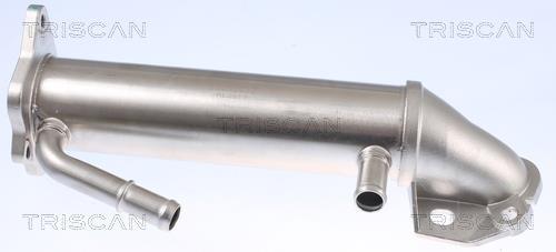 Radiateur, réaspiration des gaz d'échappement Triscan A/S 8813 16109