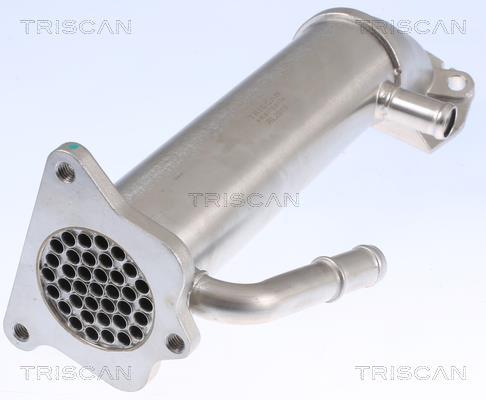 Radiateur, réaspiration des gaz d'échappement Triscan A/S 8813 16109