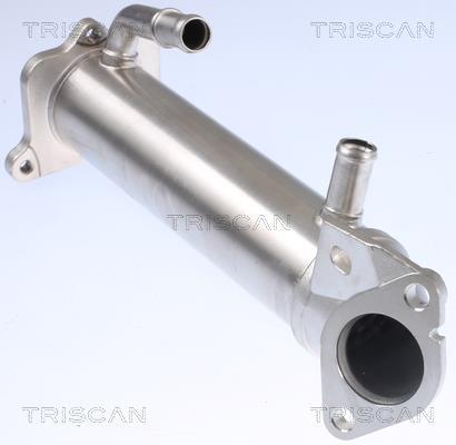 Radiateur, réaspiration des gaz d'échappement Triscan A/S 8813 16109