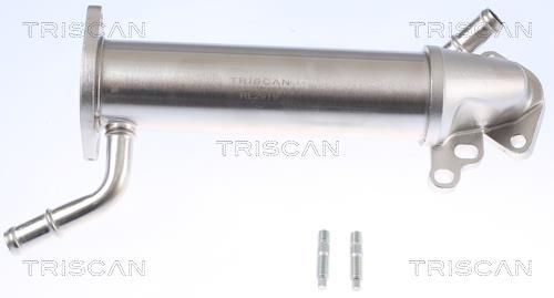 Radiateur, réaspiration des gaz d'échappement Triscan A/S 8813 16110