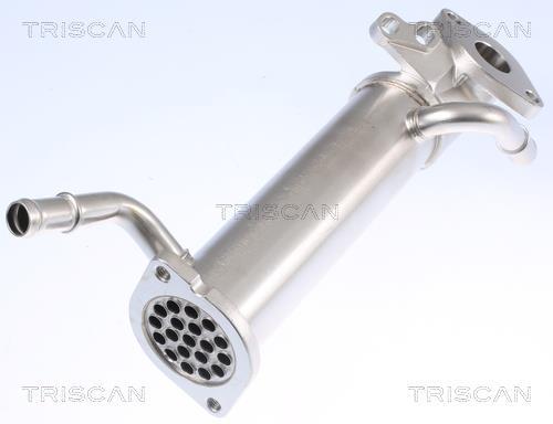 Radiateur, réaspiration des gaz d'échappement Triscan A/S 8813 16110