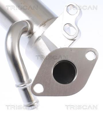 Radiateur, réaspiration des gaz d'échappement Triscan A/S 8813 16110
