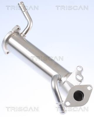 Radiateur, réaspiration des gaz d'échappement Triscan A/S 8813 16110