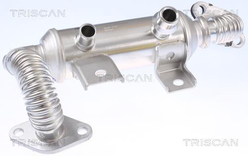 Radiador válvula egr Triscan A/S ref. 8813 16111