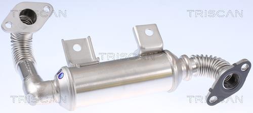Radiador válvula egr Triscan A/S ref. 8813 16111