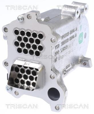 Radiador válvula egr Triscan A/S ref. 8813 16112