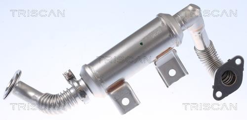 Radiateur, réaspiration des gaz d'échappement Triscan A/S 8813 16113