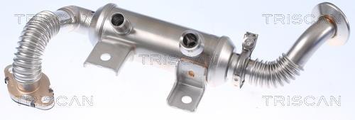 Radiateur, réaspiration des gaz d'échappement Triscan A/S 8813 16113