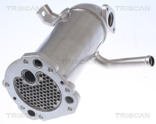 Vanne EGR Triscan A/S ref. 8813 16114