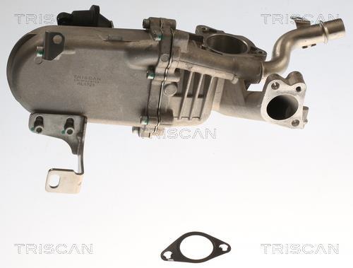 Radiateur, réaspiration des gaz d'échappement Triscan A/S 8813 16115
