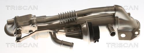 Radiateur, réaspiration des gaz d'échappement Triscan A/S 8813 16116