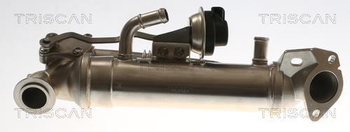 Radiateur, réaspiration des gaz d'échappement Triscan A/S 8813 16116