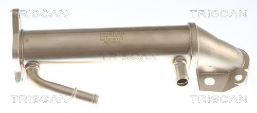 Radiateur, réaspiration des gaz d'échappement Triscan A/S 8813 16117