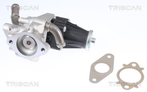 Vanne EGR Triscan A/S 8813 16150