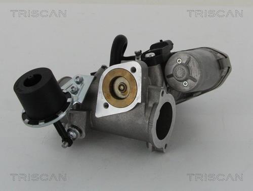 Vanne EGR Triscan A/S 8813 16202