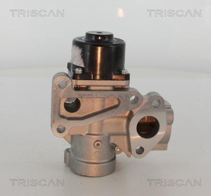 Vanne EGR Triscan A/S 8813 16203