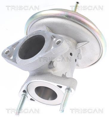 Válvula EGR Triscan A/S ref. 8813 16213