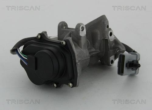 Válvula EGR Triscan A/S ref. 8813 17019