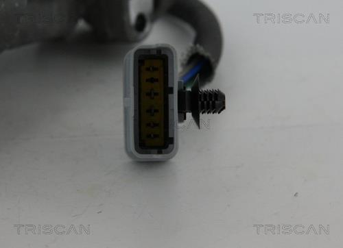 Válvula EGR Triscan A/S ref. 8813 17019