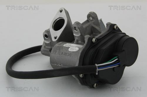 Válvula EGR Triscan A/S ref. 8813 17019