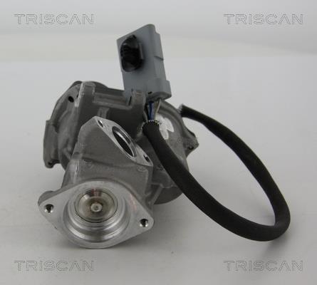 Válvula EGR Triscan A/S ref. 8813 17019