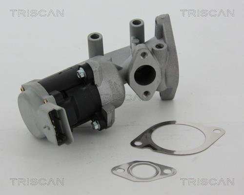 Vanne EGR Triscan A/S ref. 8813 17020